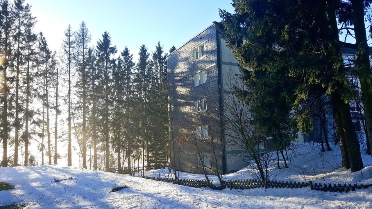Ferienappartement Winterberg - Bikepark Um Die Ecke Exteriör bild